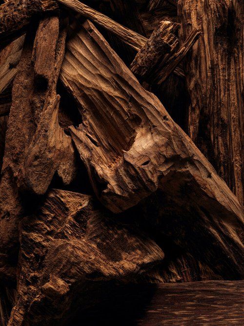 Note de fond — Vanille, Bois de oud