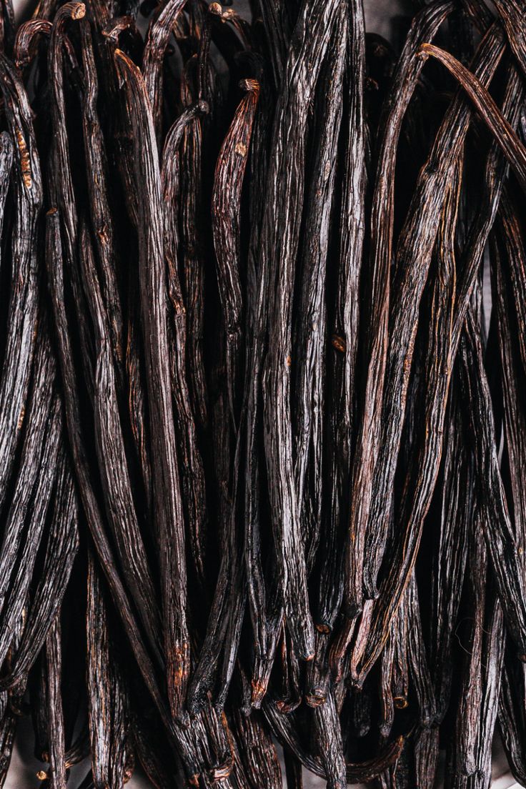 Note de fond — Bois de cèdre, Bois de santal, Patchouli, Ambre gris, Musc, Cashmeran, Notes animales, Absolu de vanille, Absolu de labdanum